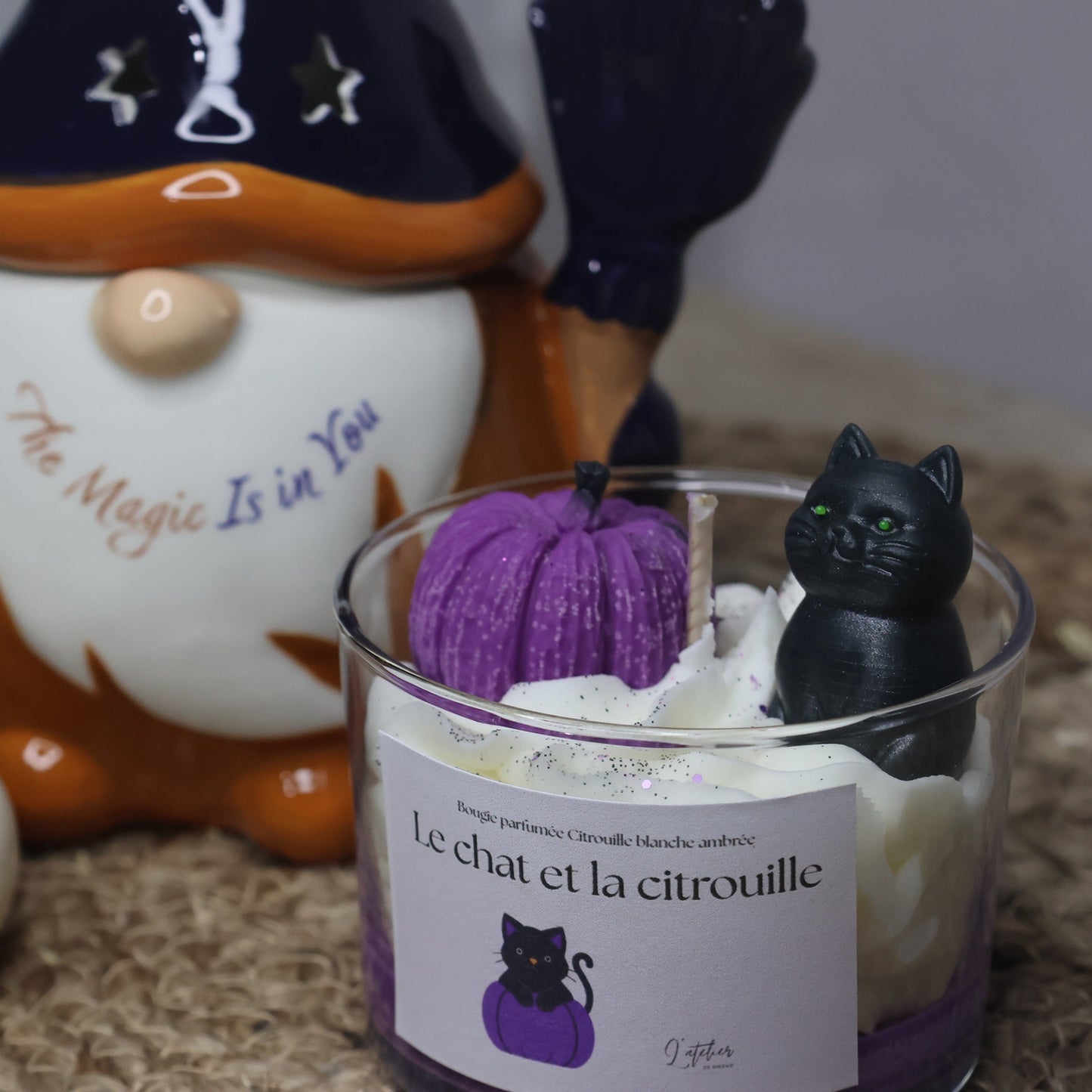 Le chat et la citrouille -