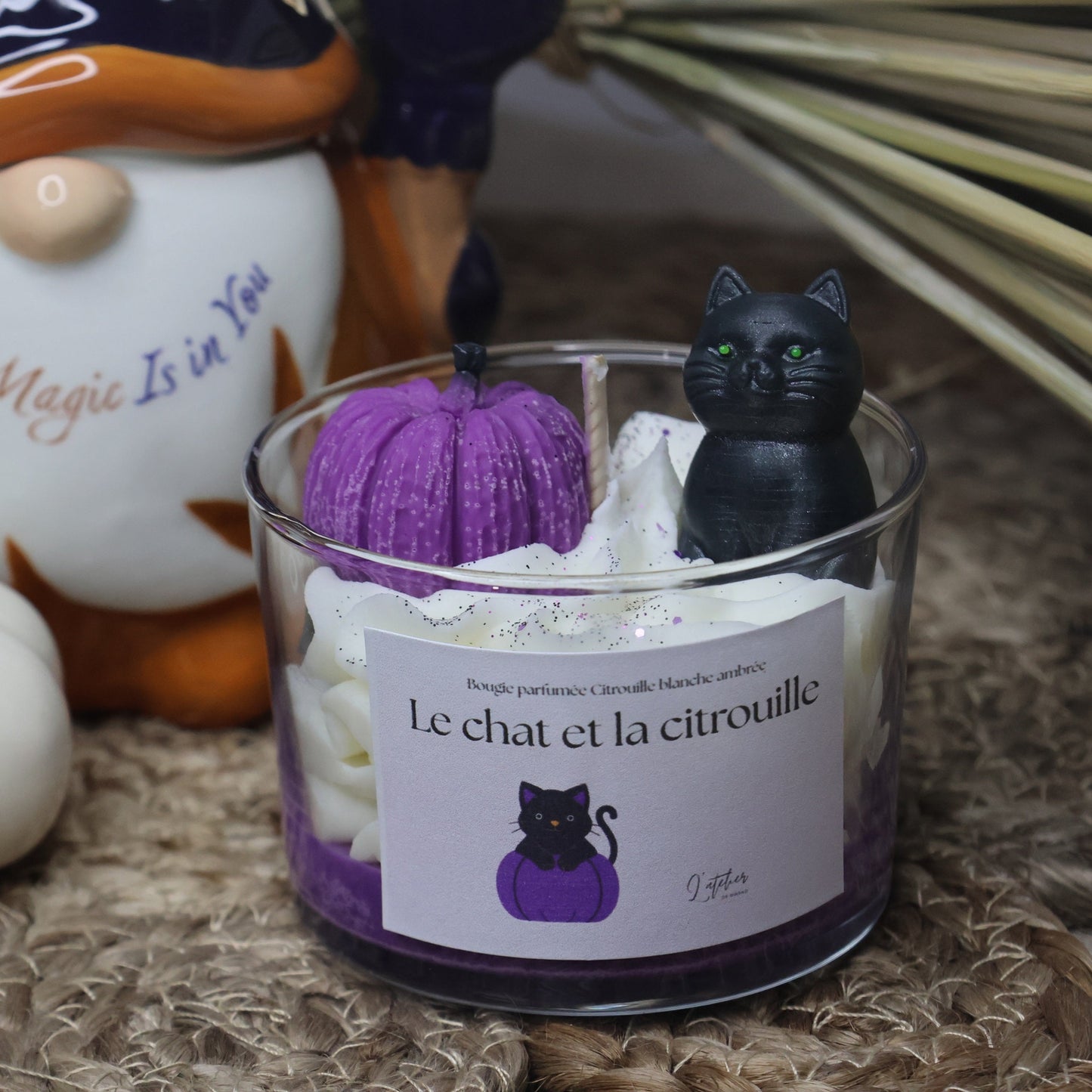 Le chat et la citrouille -