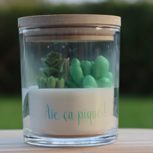 🌵 Bougie “Aïe Ça Pique” – Melon Pastèque
