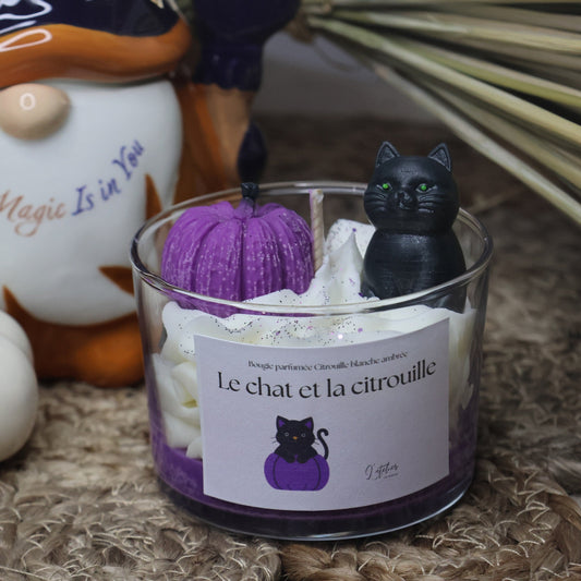 Le chat et la citrouille -